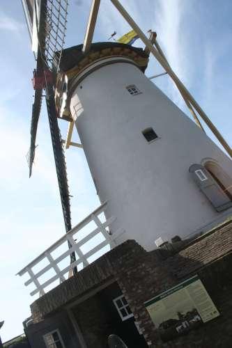 Beltmolen Vento Vivimus