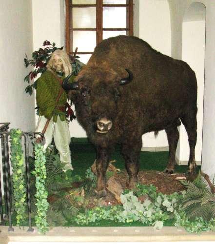 Niepołomice Museum