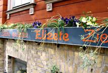 Elizete