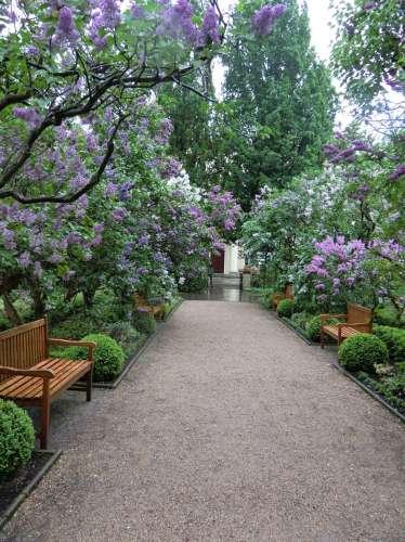 Botanical Garden