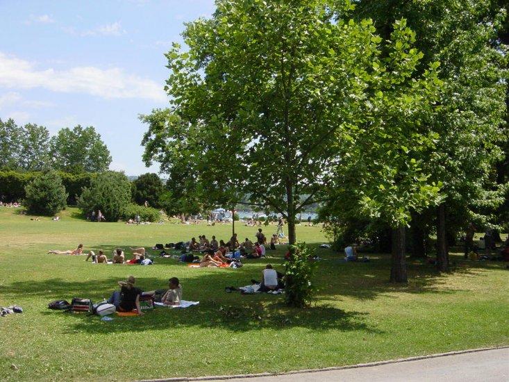 Arboretum
