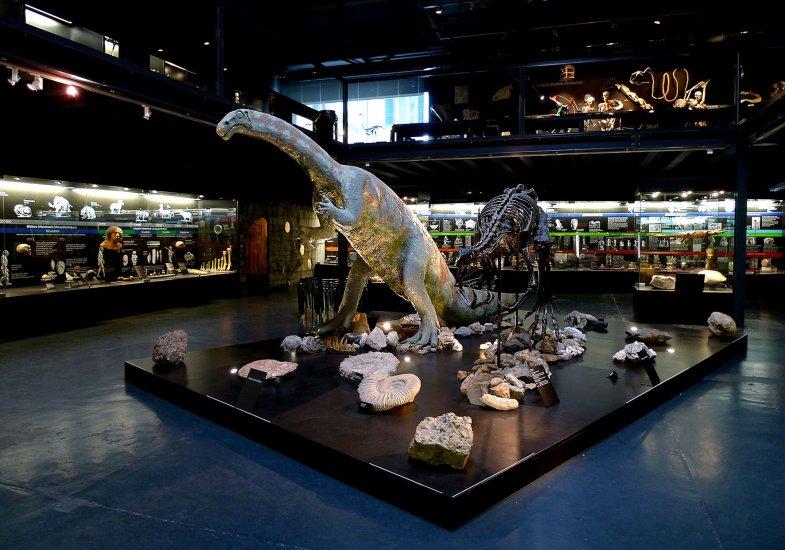 Kulturama - Museum of Mankind