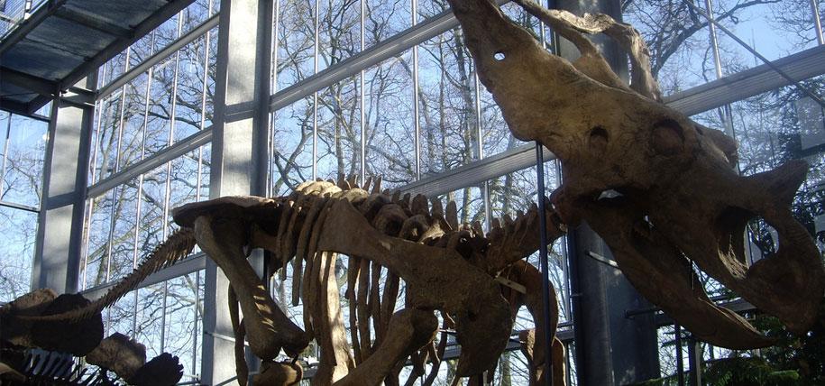 Oertijdmuseum 'De Groene Poort'