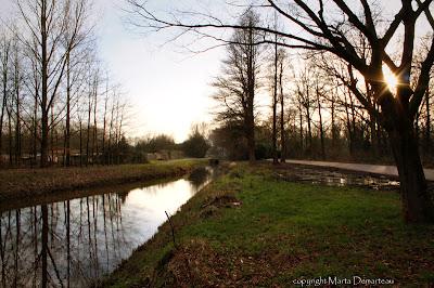 Leijpark
