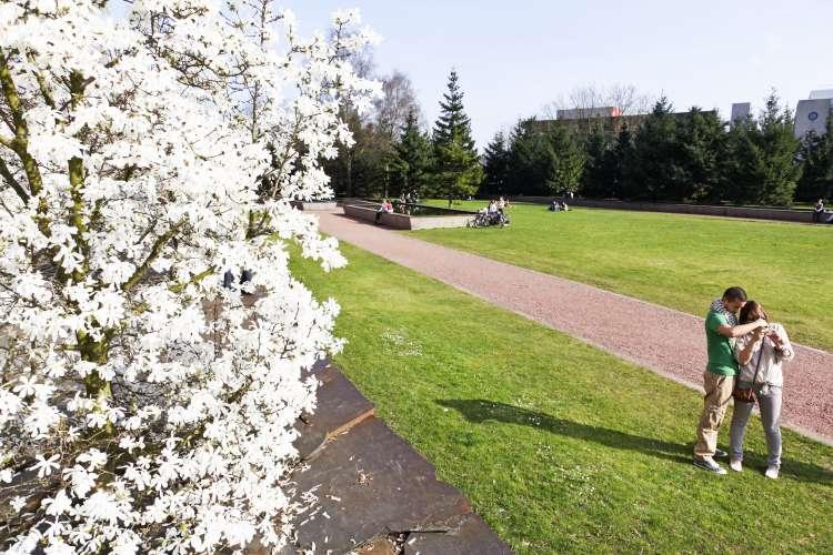 Tivoli Park