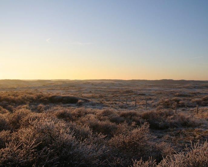 Amsterdamse Waterleidingduinen