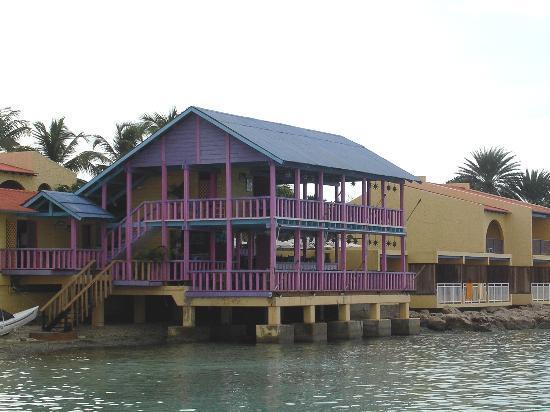 Divi Flamingo Beach Resort