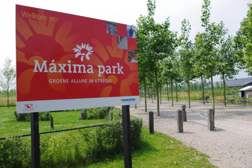 Maxima Park