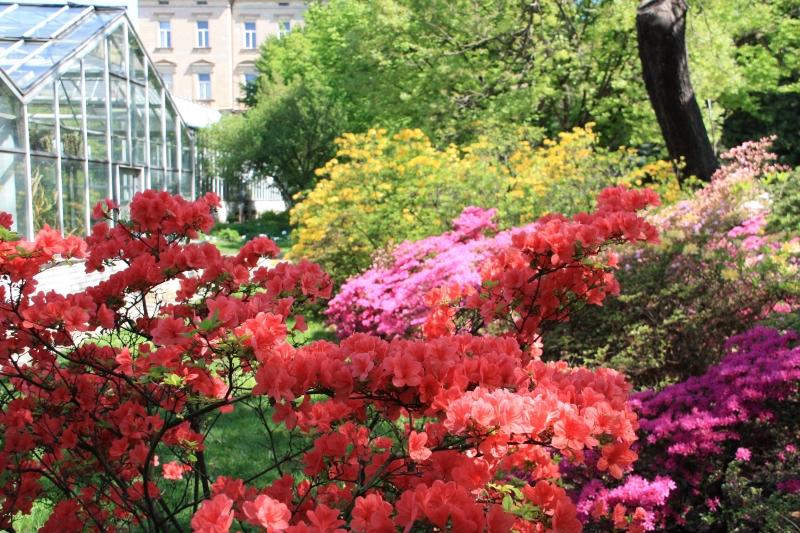 Botanical Garden of the Faculty of Science