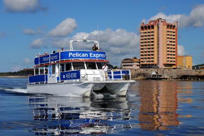 Pelican Boat Trips