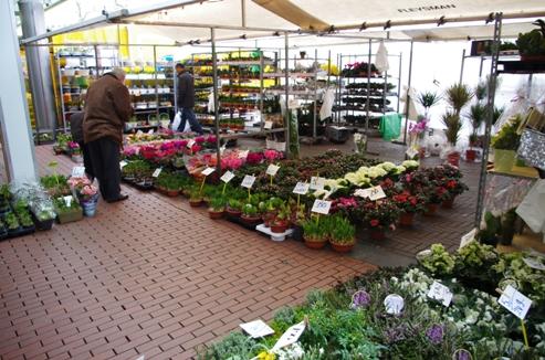 Markt Amsterdamse Poort