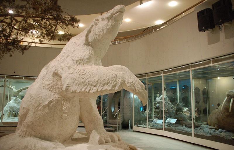 Darwin Museum
