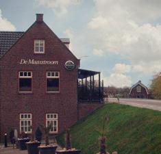 De Maasstroom