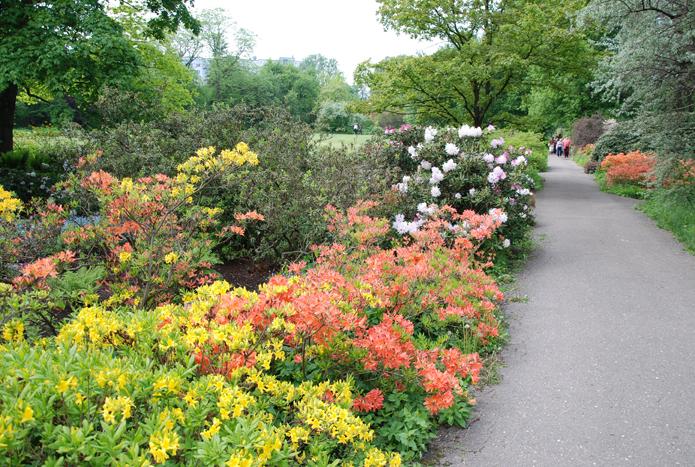 Univerisity of Latvia Botanical Gardens