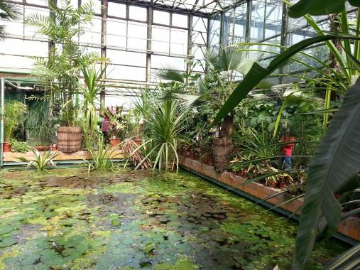 Botanical Gardens