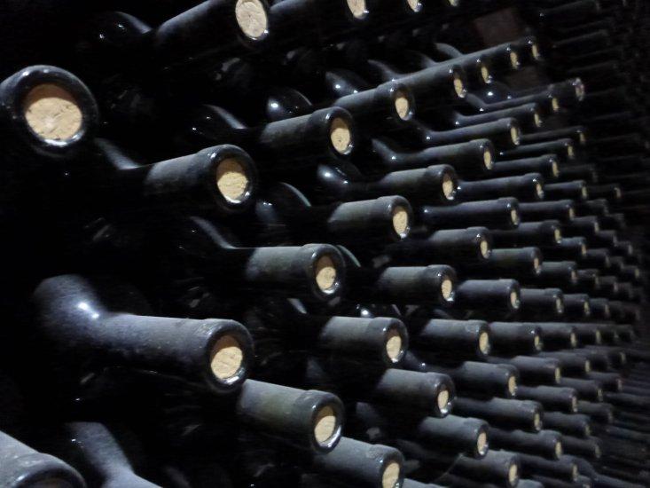 The Cradle of Winemaking