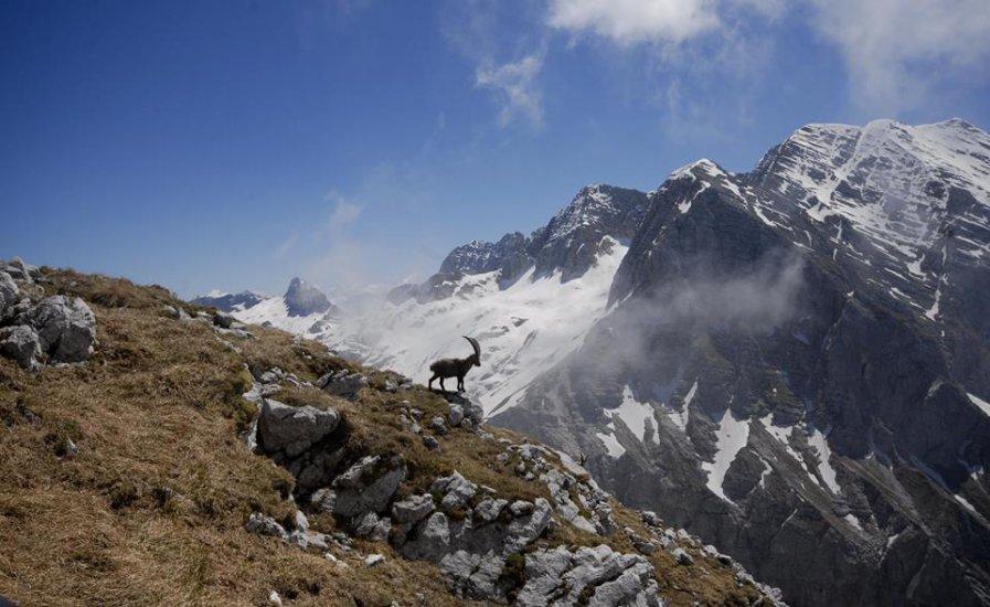 Parco Naturale Prealpi Giulie