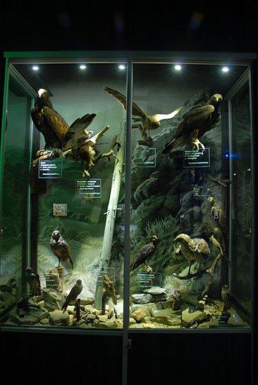 Natural Science Museum