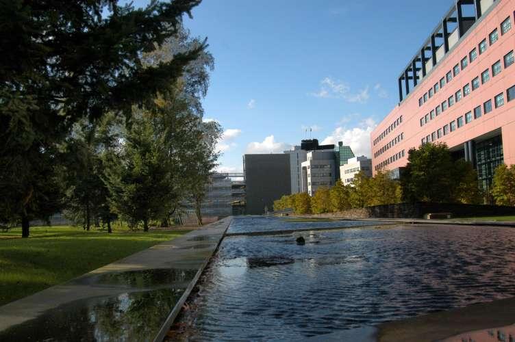 Tivolipark / Interpolistuin