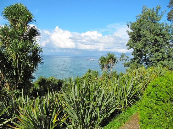 Ботанический сад Батуми