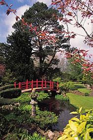 Japanese Gardens
