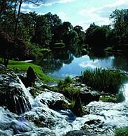 St Fiachra’s Gardens