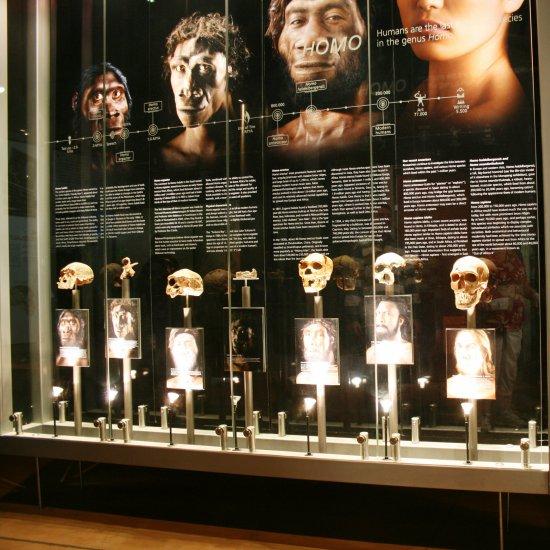 Maropeng and the Sterkfontein Caves