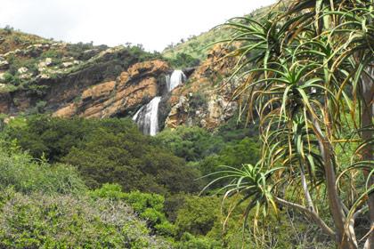 Walter Sisulu National Botanical Garden