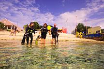 Dive Friends @ Dive Inn