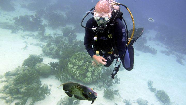 Dive Friends @ Hamlet Oasis