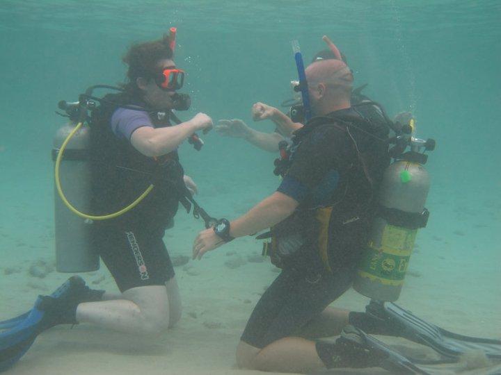 Dive Friends @ Port Bonaire