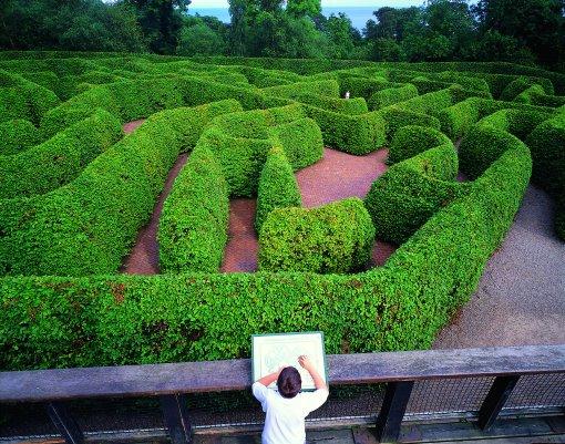 Carnfunnock Country Park