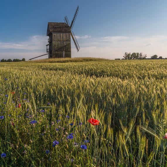 Wielkopolska | Greater Poland