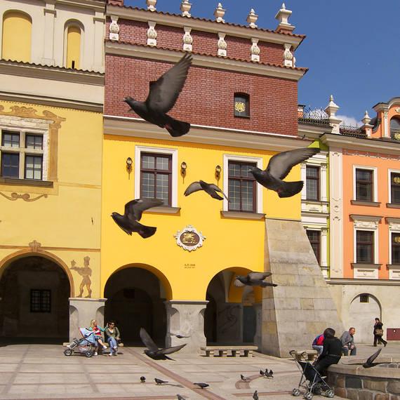 Tarnów