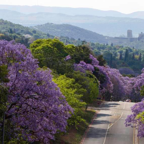 Pretoria