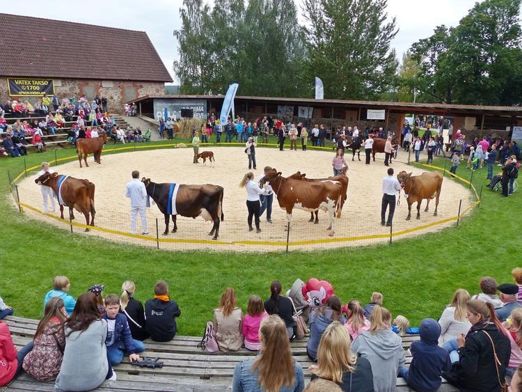 Estonian Agricultural Museum