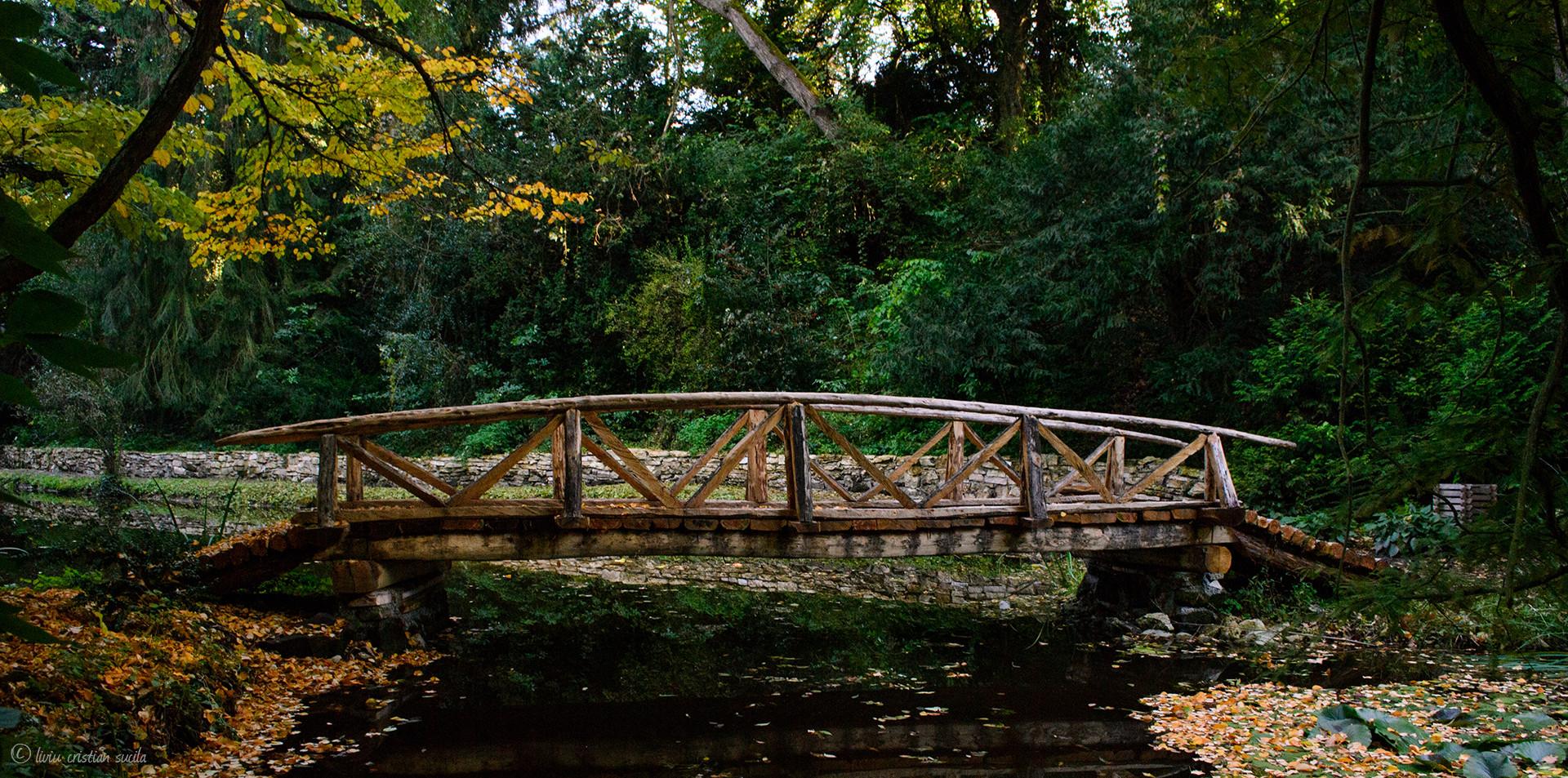 Simeria Dendrological Park