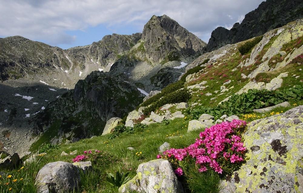 Retezat National Park