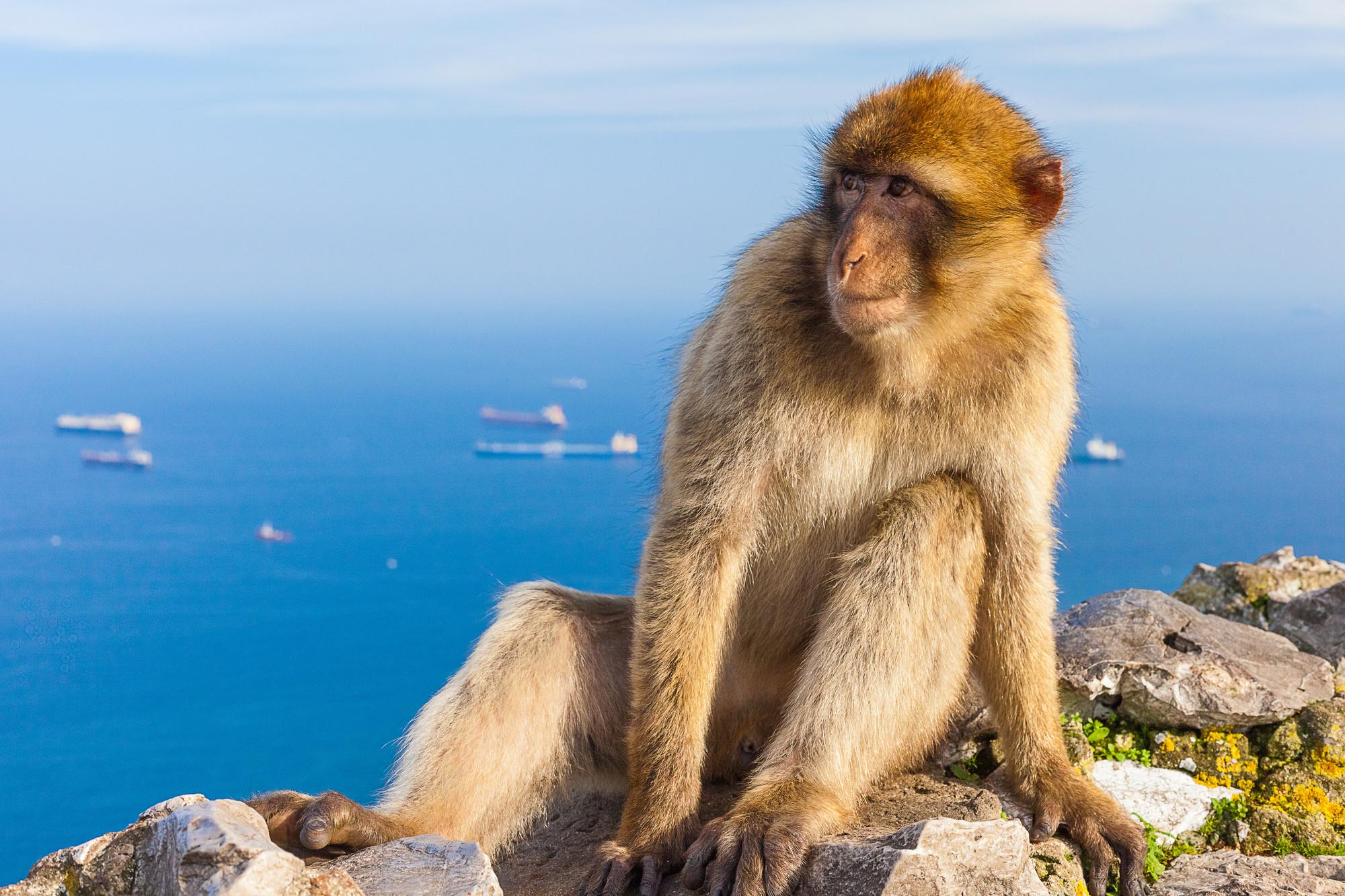 24 Hours in Gibraltar
