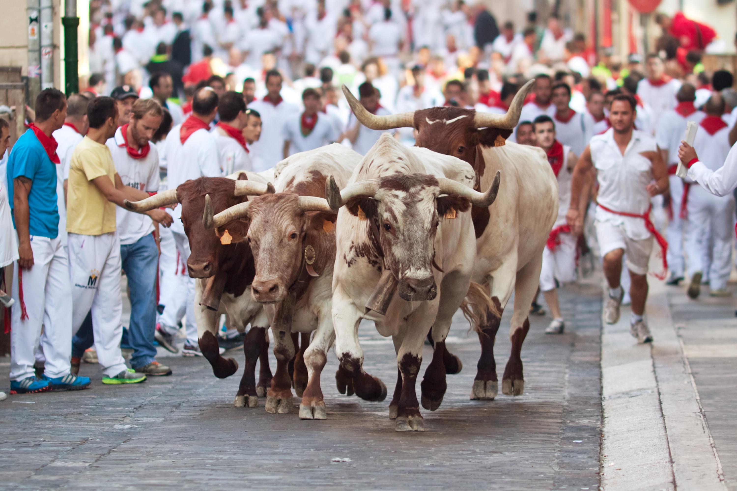 Running of the Bulls