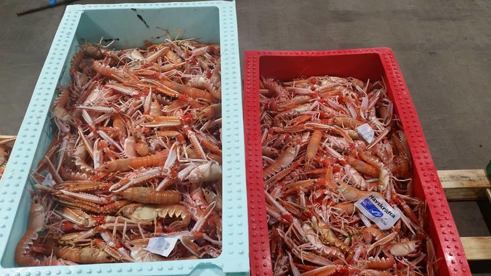 Göteborgs Fiskauktion