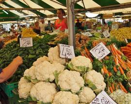 Wielkopolska Market