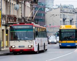 Buses & Trolleybuses