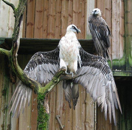 Tallinn Zoo | Sightseeing | Tallinn