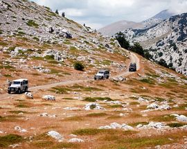 Velebit Photo Safari