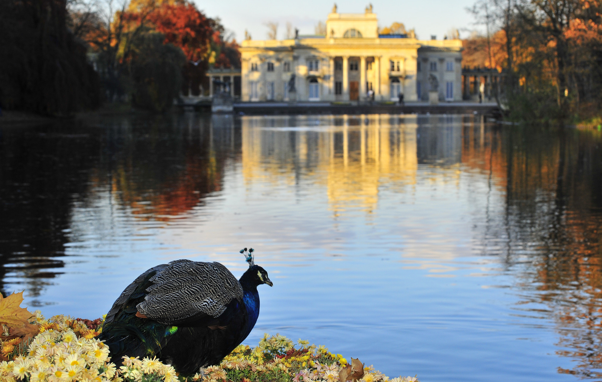 Łazienki Park | Sightseeing | Warsaw