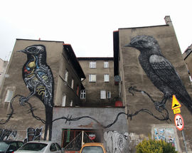 ROA Birds