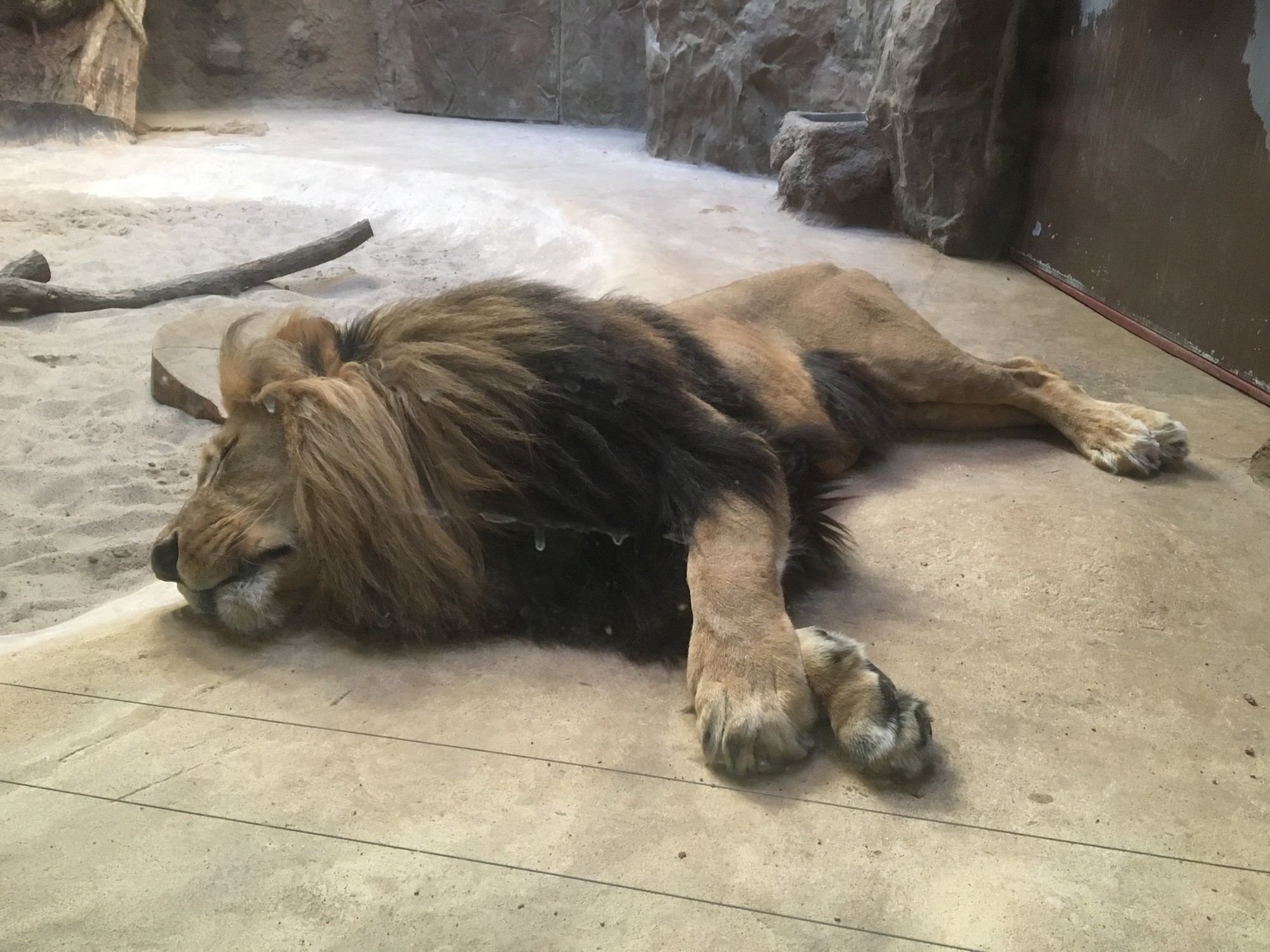 Gda  sk Zoo Leisure Gdansk