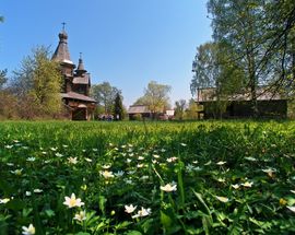 Vitoslavlitsy