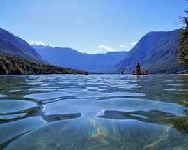 Lake Bohinj